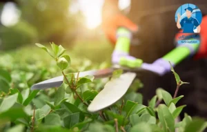 شركة تنسيق حدائق بالدمام