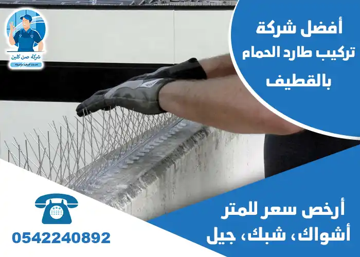 مكافحة حمام بالقطيف